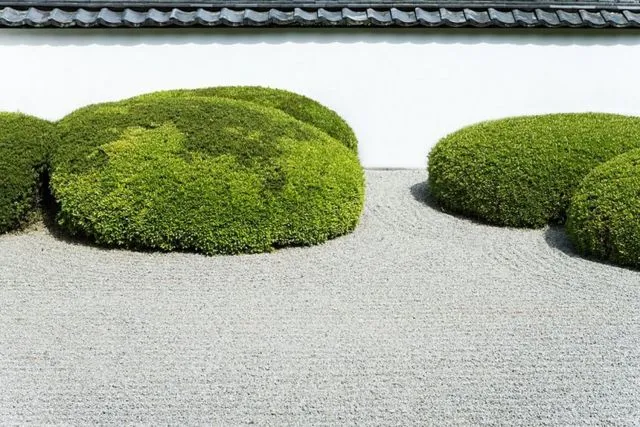 Taman Zen Jepang