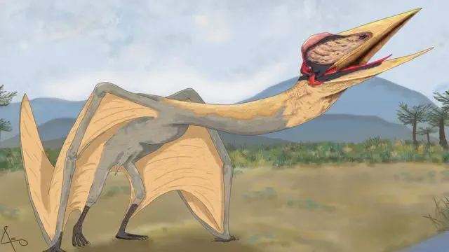 Ilustrasi