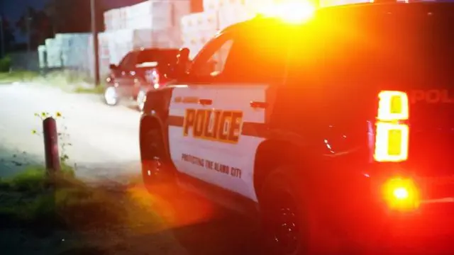 polisi, amerika serikat