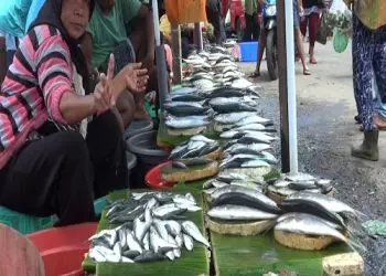 Harga Ikan Di Pasar Arumbai Ambon