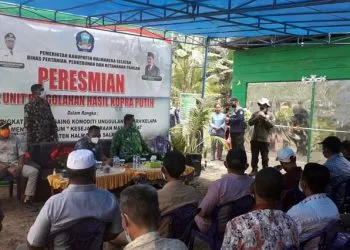 Petani Kelapa di Malut Beralih Profesi Produksi Kopra Putih