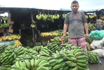 Harga Pangan Lokal Di Pasar Batu Merah dan Mardika Turun