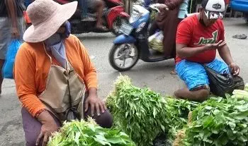 Harga Berbagai Jenis Sayuran, Variatif Di Pasar Tradisional Mardika