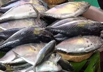 Dalam Sepekan Ikan Segar Dan Ayam Boiler Alami Kenaikan