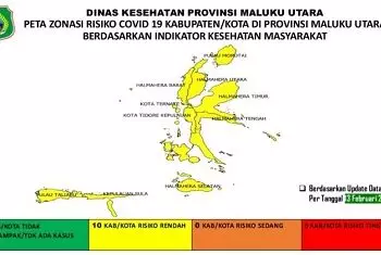 Satgas : 10 Kabupaten/Kota di Malut Masuk Zona Kuning COVID-19