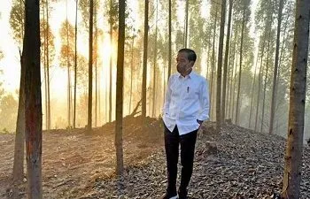 Jokowi Teken Perpres Otorita IKN, Persiapan Hijrah Ibu Kota Dimulai