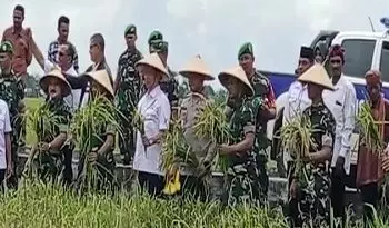 Kodam XVI Pattimura Dukung Ketahanan Pangan Di Wilayah Maluku