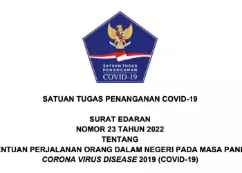 Inilah Ketentuan Perjalanan Domestik di Masa Pandemi