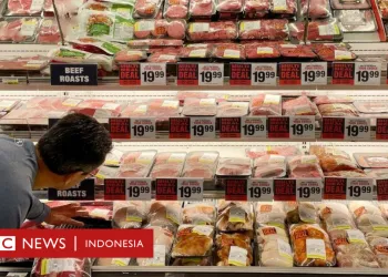 21cd7d80 3977 11ed 9ae9 959994b8a64c