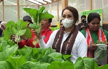 Hidroponik Dianggap Jadi Solusi Pertanian Bagi Milenial