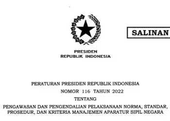 Inilah Perpres 116 Tahun 2022 Tentang Pengawasan dan Pengendalian Pelaksanaan NSPK Manajemen ASN