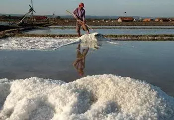 Pemerintah Terbitkan Perpres Percepatan Pembangunan Pergaraman Nasional