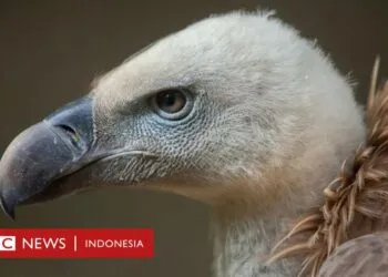 c000b010 8046 11ed 90a7 556e529f9f89