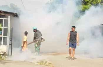 Cegah Penyebaran DBD, Lantamal X Jayapura Lakukan Fogging