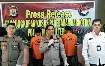 Pengedar dan Kurir Ganja Ditangkap Satresnarkoba Polres Malteng