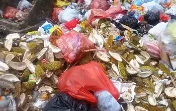 Sampah Kelapa Muda dan Kulit Durian Berserakan Di Jalan Jenderal Sudirman