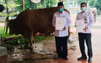 Sambut Iduladha 1444 H Presiden Jokowi Salurkan Sapi Kurban Tiap Provinsi e1687524896746