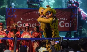 Atraksi barongsai menghibur pengunjung di akuarium Sea World Ancol