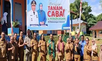 Tanam Cabai