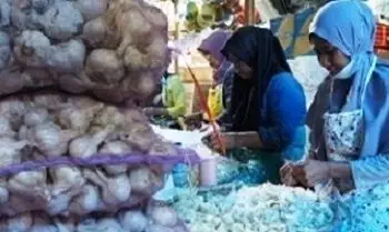 indonesia pengimpor bawang putih terbesar di dunia 9 169