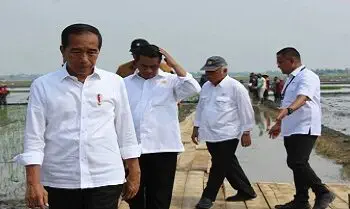 IMG 0768