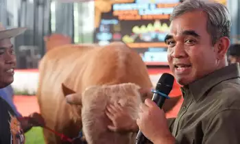 Ketua MPR RI Ahmad Muzani dalam acara Kontes dan Expo Sapi