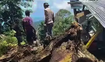 Suasana  lokasi pohon tumbang yang menewaskan sembilan