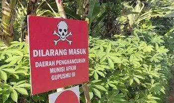 Daerah Ledakan