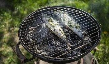ilustrasi ikan kembung 169