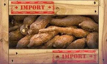 Pemerintah Pertimbangkan Bea Impor Singkong-Tapioka