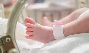 ilustrasi bayi prematur 1 169 1