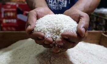 Harga Beras Premium Turun