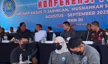 bnn