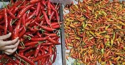 PIHPS: Harga cabai rawit Rp39.200/kg, telur ayam Rp31.450/kg