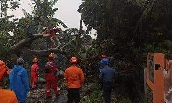 angin terjang bogor