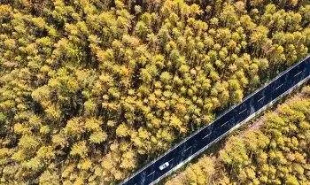 Penelitian: Manusia bergerak 40 kali lebih jauh dibanding semua satwa