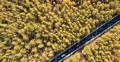 Penelitian: Manusia bergerak 40 kali lebih jauh dibanding semua satwa