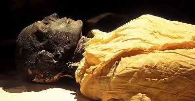 Radiokarbon, Jam Alami yang Bisa Tentukan Waktu Kematian Seseorang