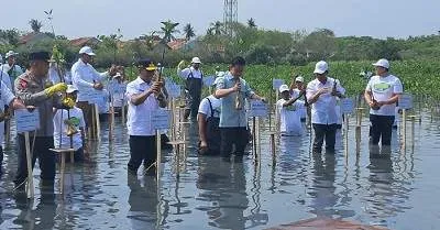 Gibran Tanam Mangrove di Tangerang, Minta Kawasan Pesisir Ditangani Serius