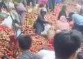 Bawang Bombai Misterius Dibuang di Batam, Ramai-ramai Diserbu Warga