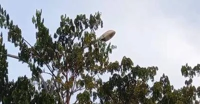 lampu jalan