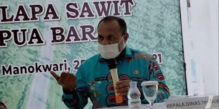 Lahan Seluas 52 Ribu Ha Dikembalikan Perusahaan Perkebunan Kelapa Sawit Ke Pemda Papua Barat 1 Lahan Seluas 52 Ribu Ha Dikembalikan Perusahaan Perkebunan Kelapa Sawit Ke Pemda Papua Barat