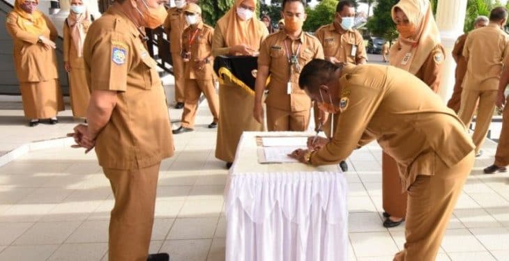 Pemkab Halut Umumkan Tahapan Pendaftaran CPNS dan P3K 1 Pemkab Halut Umumkan Tahapan Pendaftaran CPNS dan P3K