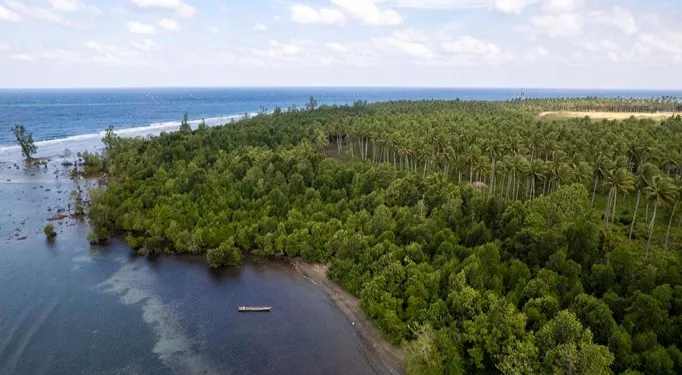 Harita Nickel Diminta Rehabilitasi Ekosistem Pesisir di Halmahera Selatan 1 Harita Nickel Diminta Rehabilitasi Ekosistem Pesisir di Halmahera Selatan