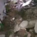 Dua Unit Rumah Warga Larike Rusak Akibat Tanah Amblas 8 VID 20240614 WA0021 frame at 0m32s