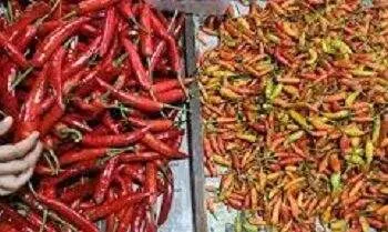 PIHPS: Harga cabai rawit Rp39.200/kg, telur ayam Rp31.450/kg 2 PIHPS: Harga cabai rawit Rp39.200/kg, telur ayam Rp31.450/kg