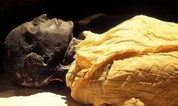 Radiokarbon, Jam Alami yang Bisa Tentukan Waktu Kematian Seseorang 2 Radiokarbon, Jam Alami yang Bisa Tentukan Waktu Kematian Seseorang