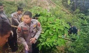 Mayat Bayi Terpotong 3 Ditemukan di Ngarai Sianok: Kepala-Badan Terpisah 2 Mayat Bayi Terpotong 3 Ditemukan di Ngarai Sianok: Kepala-Badan Terpisah