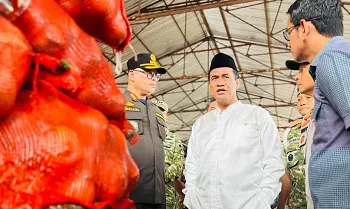 Mentan Sita 133 Ton Bawang Ilegal di Semarang 6 Mentan Sita 133 Ton Bawang Ilegal di Semarang