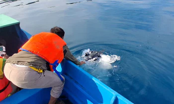 Basarnas Tutup Pencarian Korban Kapal Tenggelam Halsel 6 Basarnas Tutup Pencarian Korban Kapal Tenggelam Halsel